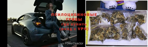 не бодяженный Новозыбков