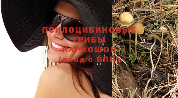 не бодяженный Новозыбков