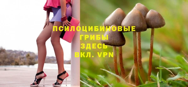 марки nbome Новокубанск