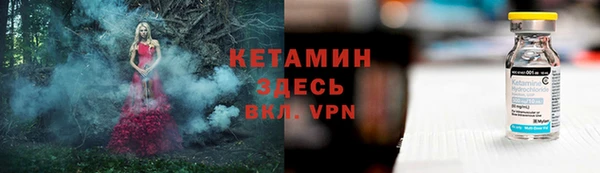 альфа пвп Новодвинск