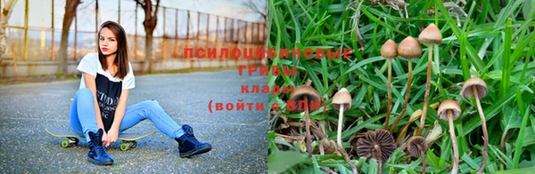 альфа пвп Новодвинск