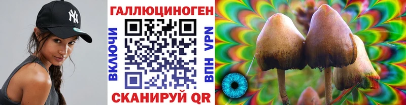 даркнет сайт  Торопец  Галлюциногенные грибы ЛСД 
